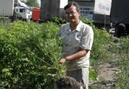 ��������: ���� � ������