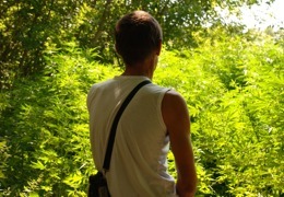 � ���������������� ������� ���������� ��������� �������