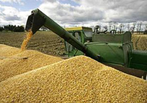 �� ���������������� ������ �� ����� ������ ��������� ��� �� 87% 