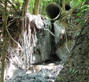 ������������� �� � �����������