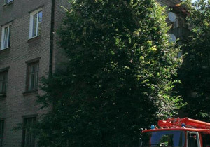 � ���������������� �� ������ ���� �� ������� ������� �������