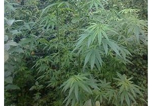 � ��������������� ��������� ��������� ����������� ����