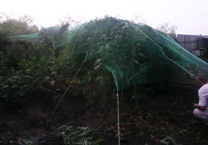 ��������� �������� ��������� �� ������ �������