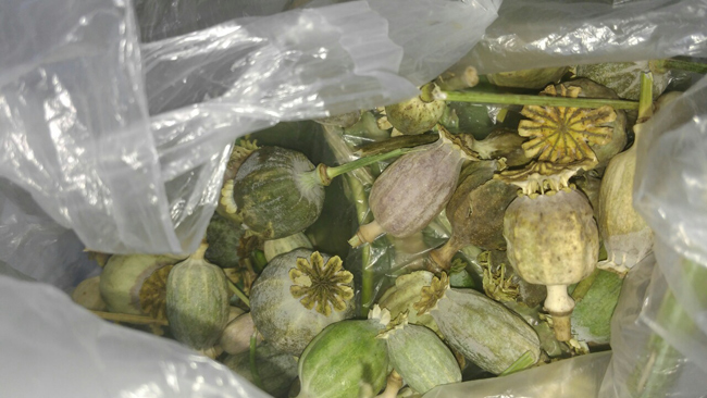 Департамент протидії наркозлочинності продовжує операцію «МАК»