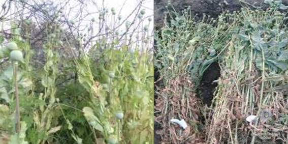 �� ���������������� ����������� ���������� ��������� �� 12700 �������� �������� ����