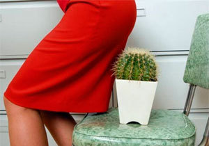 ���������� �� �������� ��� ���� � ��������! ������  �� 16 ���� ������ �� ������� 40%. ����� ���������� � �����-������������ 150 ���.