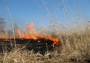 � ����� �� ����� ������� ��� ����� 1200 ��� ������ ������