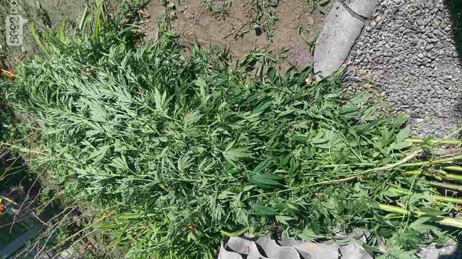 � 54-������ ���������� ������ 108 ������ �������