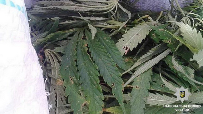 ����������� ���������  ��������, ������� ������� � ���������� ����� � ��������