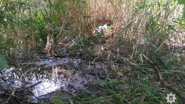 Место, где обнаружили тело 13-летней Елизаветы. Убитую в Никополе 13-летнюю девочку не насиловали
