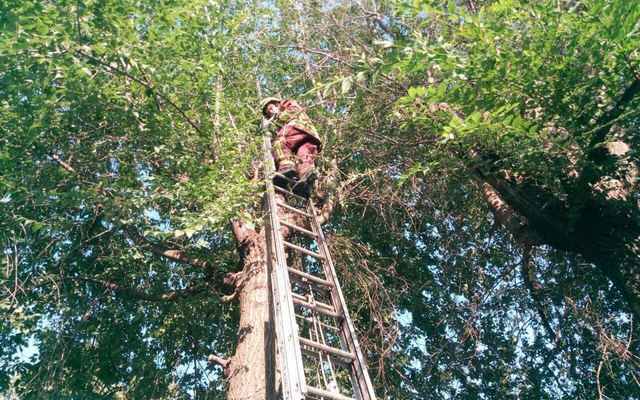 � ����� ������������ ��������� �������, ������ ���� � ������