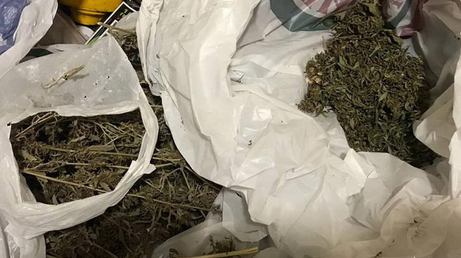 � ��������� ��������������� ������ ������������� ��������� � ����-������ � ��������������