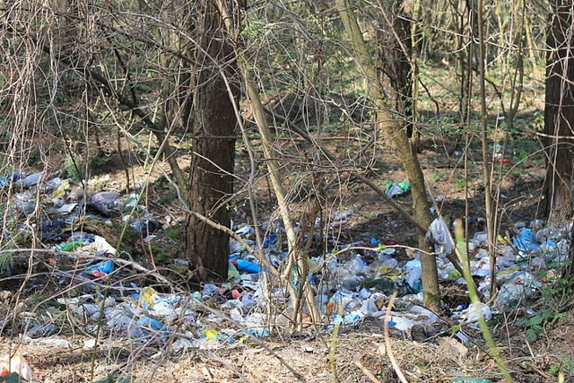 В Каменском убирают стихийные свалки