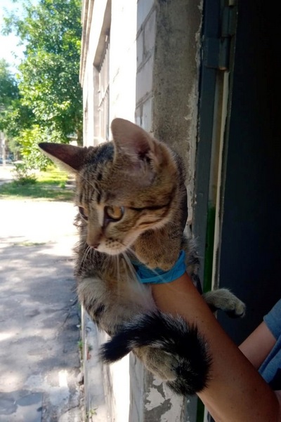 � ������ ��������� ���������� �������� ��������