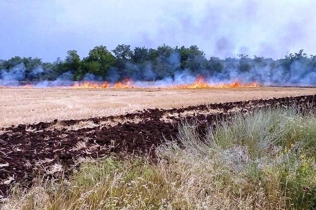 �� ���������������� ���������� ��������� �������� ������ �� ���