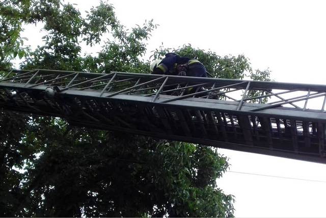 � ������ ����������� ������ �������� �101� ����� ���� � ������