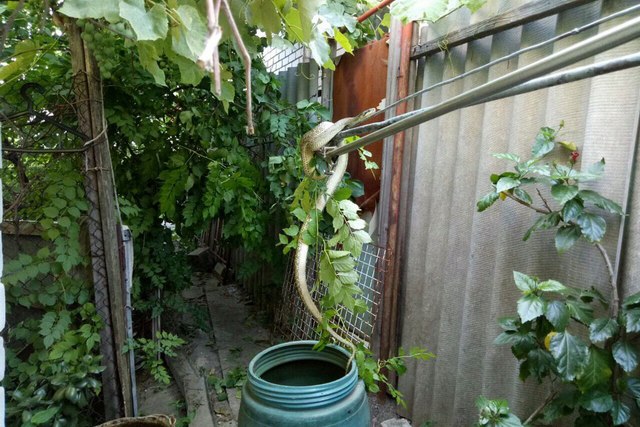 � ������ �� ���������� �������� ������������ ���������� ��������������