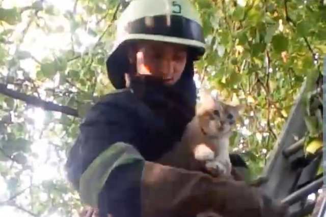 � ������ ����������� ������ �������� �101� ����� ��������� ������� � ������