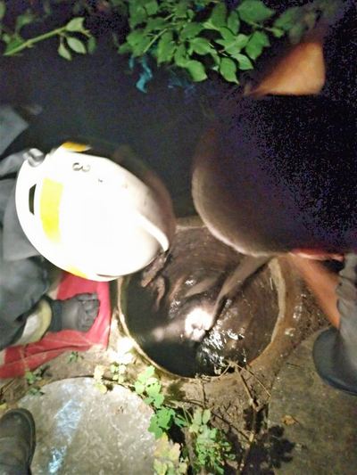 � ������ ��������� ���������� �������� ��������