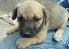 ���������, ��������������!