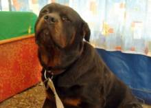 � ����� ����� ��������� ��������� ����