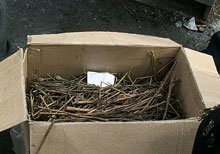 ��������� ������������� � ������ ����: ������ 16 �� ������� �������