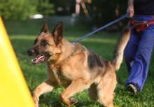 ������������ ������������ ���������