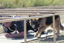 �� ���� ������� ��������� �����