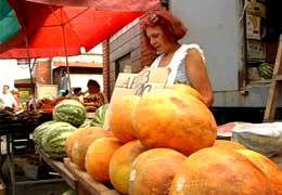 ������ � ���� �� ������ ������ ���������