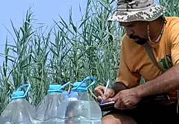 ��������� ������� ����� ����� ���� � ������� �����