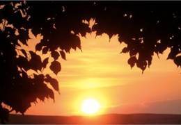 � ������� ���������� �� 10-15 ��������