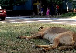 � ������ ����� 8000 ��������� �����