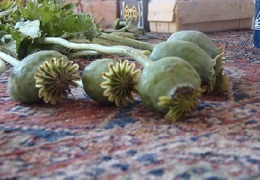 ������������ ������� � �������� ����������������