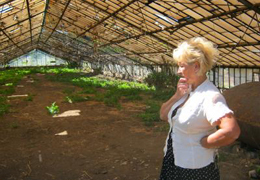 �� ����������� - ������ ������