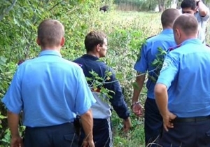 � ���������������� ������� ������� ����������� � ���� 8-������ �������