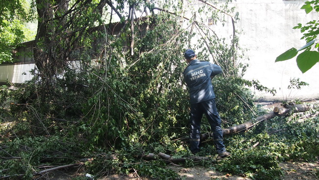 Днепродзержинские спасатели убрали поваленные деревья