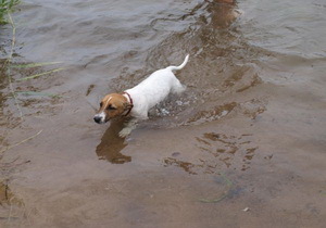 �� ������� ����� ��� ������� ������ ������ �������� �������