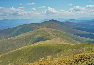       '    