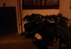 � ���������� ���� ������� ���� 8-��������� �������� � ����� �������