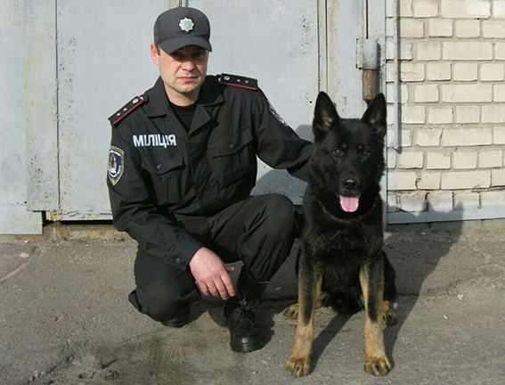 У Кам'янському службовий пес допоміг виявити розчленоване тіло людини