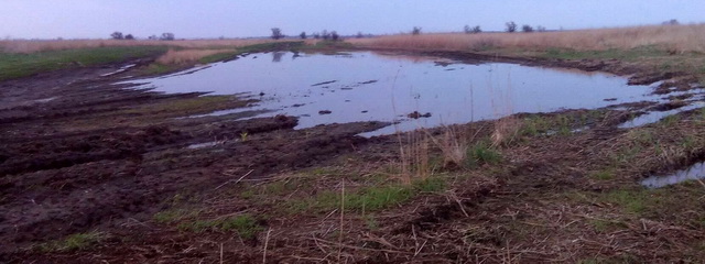 ����� ���� ������ �����: ������������ � ������������ �������� � ���������� ���������