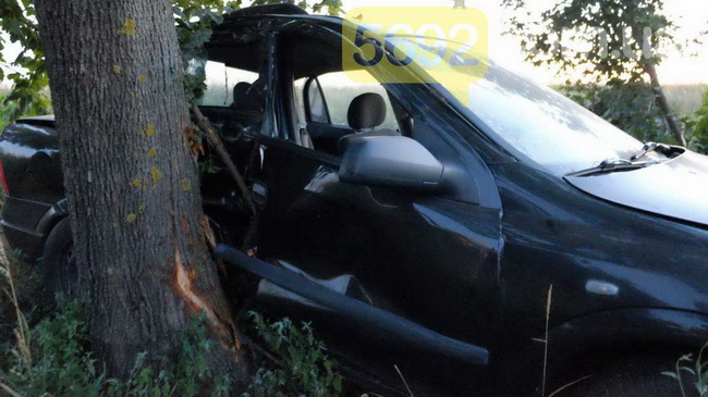 ��� �� ������ ������ ����������: 