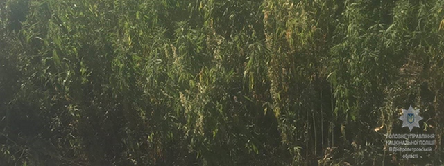 ������� ���������������� ���� ������������, ������� �������� ��������� �������