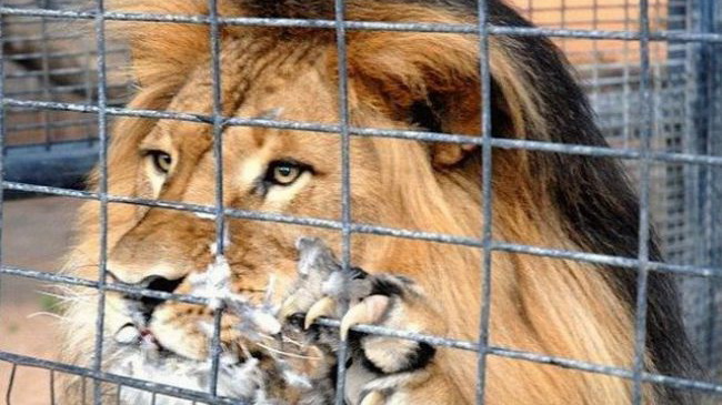 � ��������� ����� ��������� ��� �������� ����������� �����