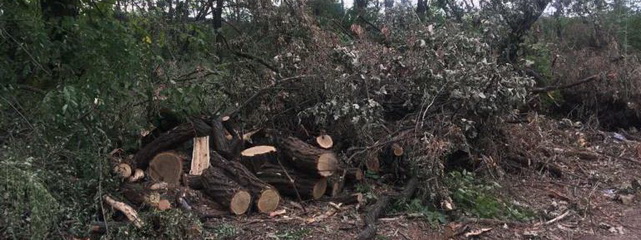 � ��������� ��������� ���������� ���������� ������� ��������