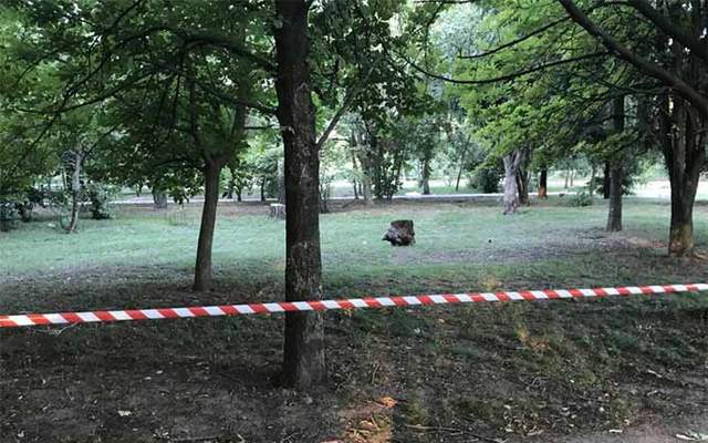 На Днепропетровщине полицейские в течение нескольких часов установили и задержали подозреваемого в убийстве