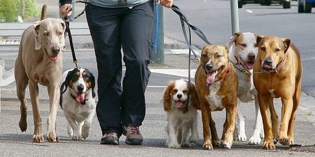 фото из открытых источников Рынок труда в Украине: в тренде «курортные» вакансии и запросы на домработниц