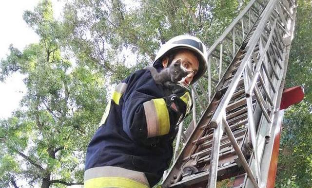 � ������ ����������� ������ �������� �101� ����� ������� � ������