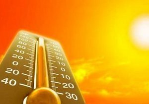 � ������ � 8 �� 13 ������� �� ���������� ������� ���������� ������������ (5 �����) �������� ���������