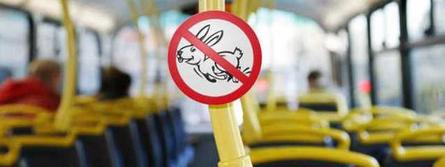 � ������ � ���� ���������� ����� �� ������ �������